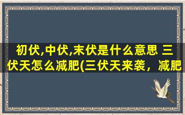 初伏,中伏,末伏是什么意思 三伏天怎么减肥(三伏天来袭，减肥大作战！)